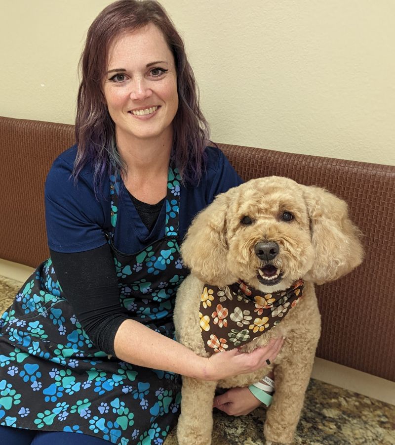 Our staff member petting a dog