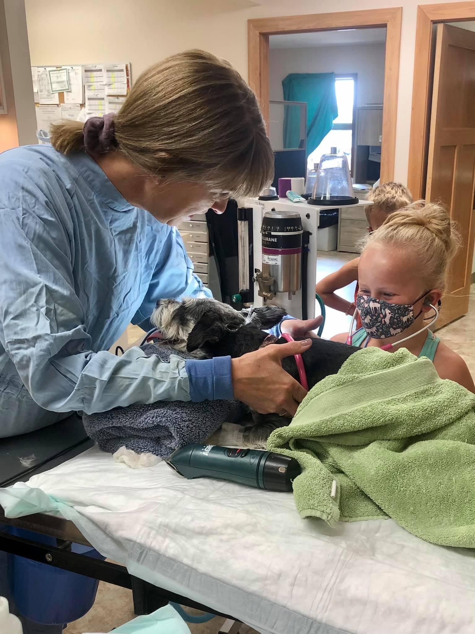 a vet affectionately pets a dog while a child sits on a table