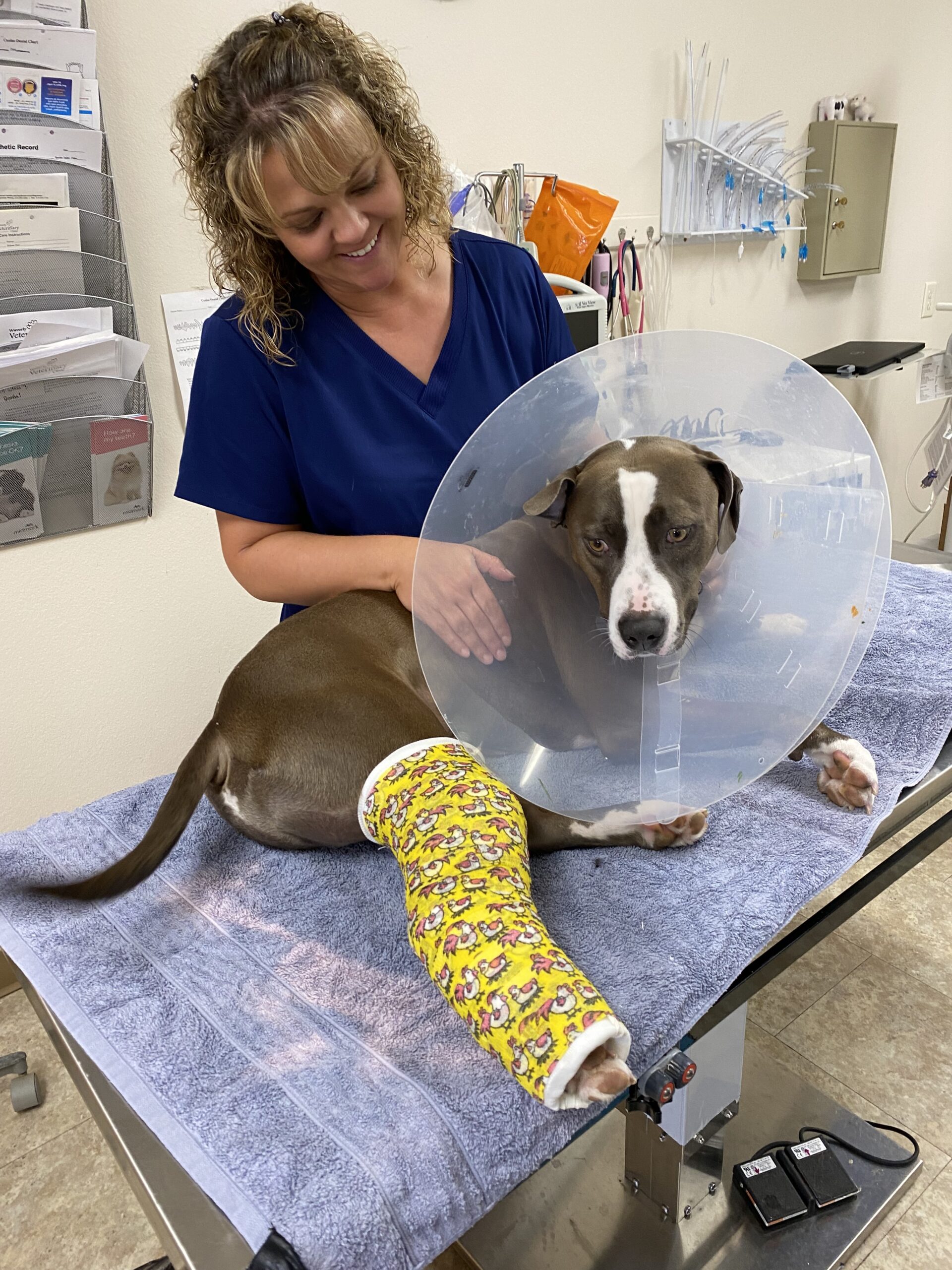 a vet smiling next to her dog wearing a cone