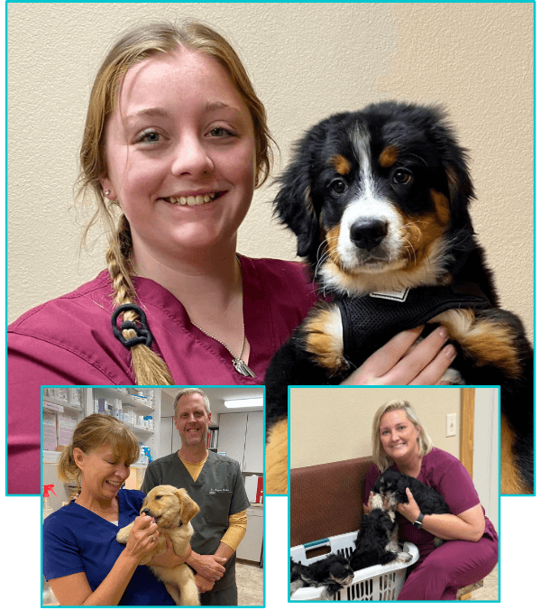 Waverly Veterinary Staff